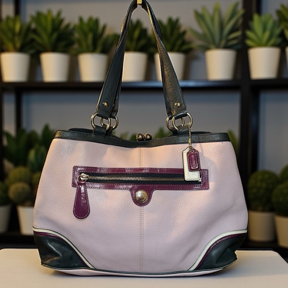 Coach Ashley Colorblock Leather Tote Shoulder Bag F15145